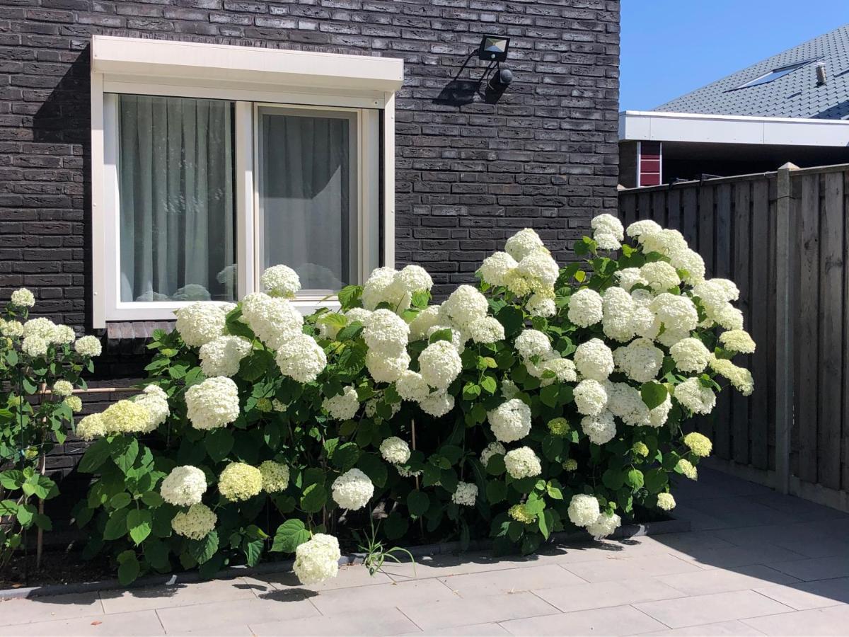 Zoutelande Koddelaan Vakantiewoning Екстериор снимка